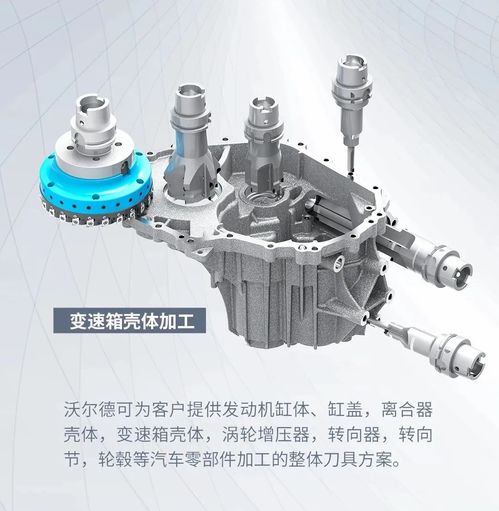 芒種 沃爾德四小伙的第3日